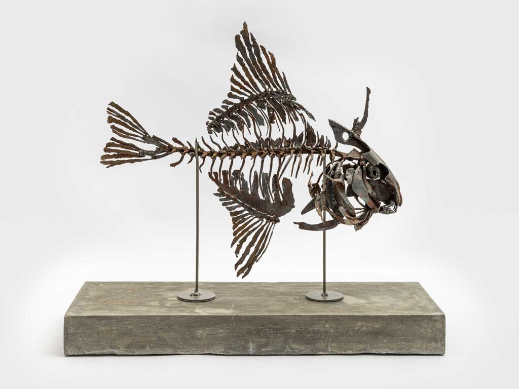 Triggerfish (3) Dana Meyer